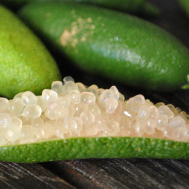 Pianta di Limone Caviale, Finger Lime