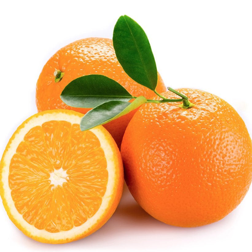 Piante di Arancio, Varietà in genere. H150cm, Piante di 2 Anni