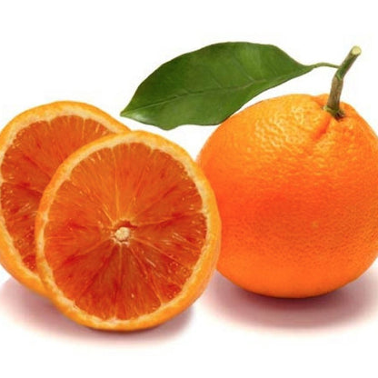Piante di Arancio, Varietà in genere. H150cm, Piante di 2 Anni