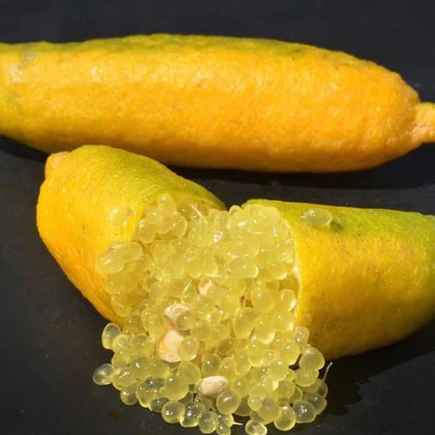 Pianta di Limone Caviale, Finger Lime