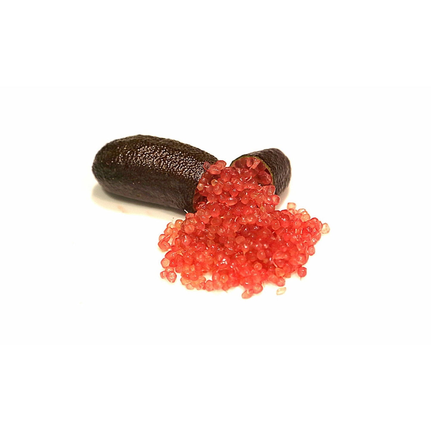 Pianta di Limone Caviale, Finger Lime