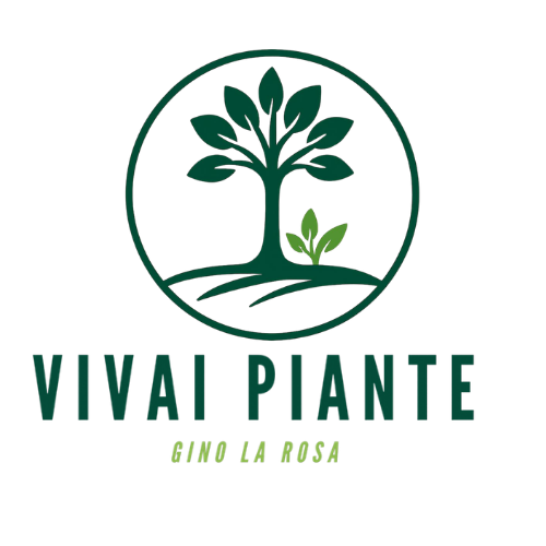 Vivai Piante Gino La Rosa 