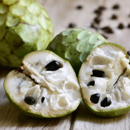 Piante di Annona cherimola 'Fino de Jete