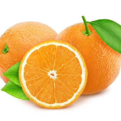 Piante di Arancio, Varietà in genere. H150cm, Piante di 2 Anni