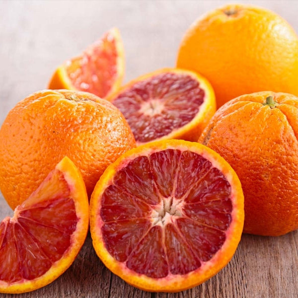 Piante di Arancio, Varietà in genere. H150cm, Piante di 2 Anni