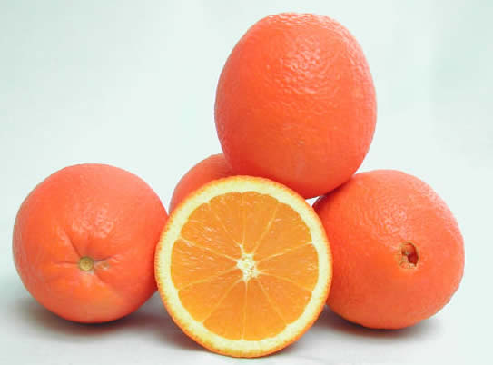 Piante di Arancio, Varietà in genere. H150cm, Piante di 2 Anni