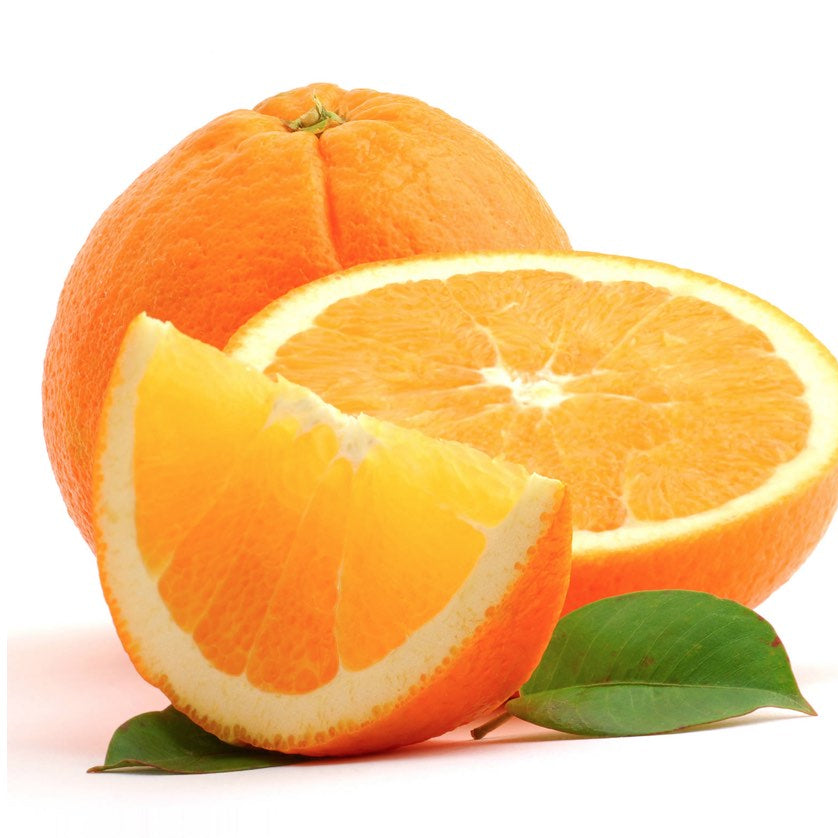 Piante di Arancio, Varietà in genere. H150cm, Piante di 2 Anni