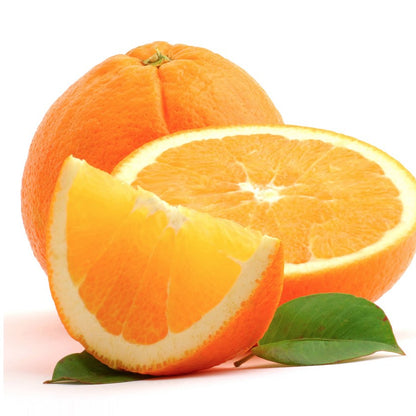 Piante di Arancio, Varietà in genere. H150cm, Piante di 2 Anni