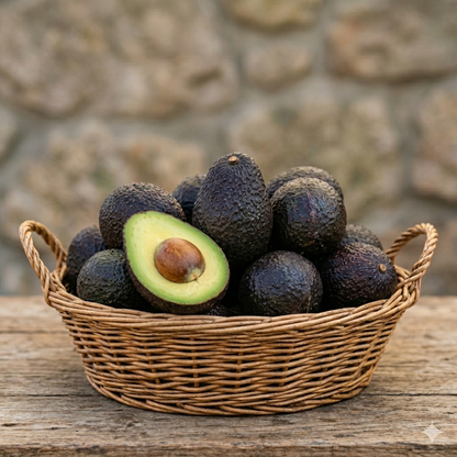 Pianta persea americana, piante di avocado innestato, H120cm