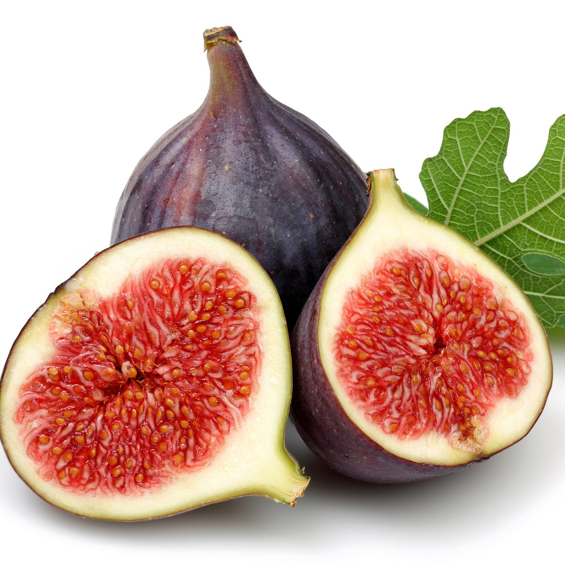 Pianta di fico