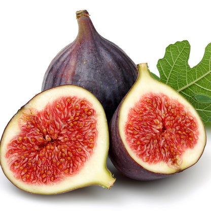 Pianta di fico