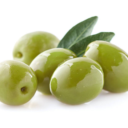 Pianta di ulivo, da olio o ornamentale