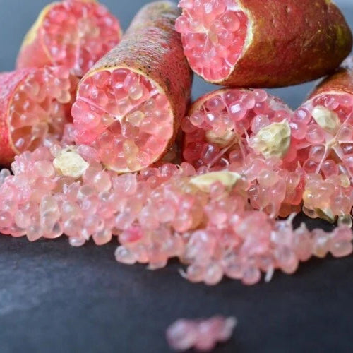 Pianta di Limone Caviale, Finger Lime