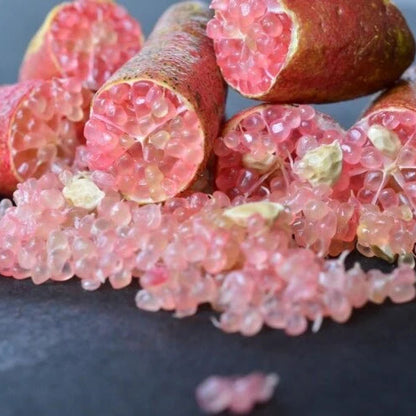 Pianta di Limone Caviale, Finger Lime