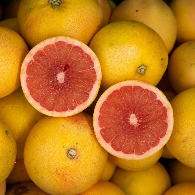 Piante di Pompelmo