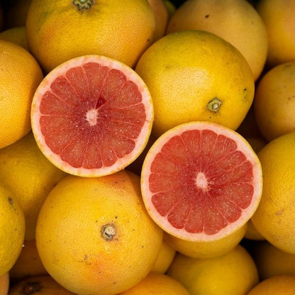 Piante di Pompelmo