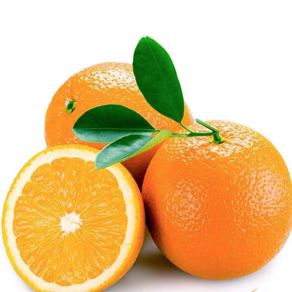 Piante di Arancio, Varietà in genere. H150cm, Piante di 2 Anni